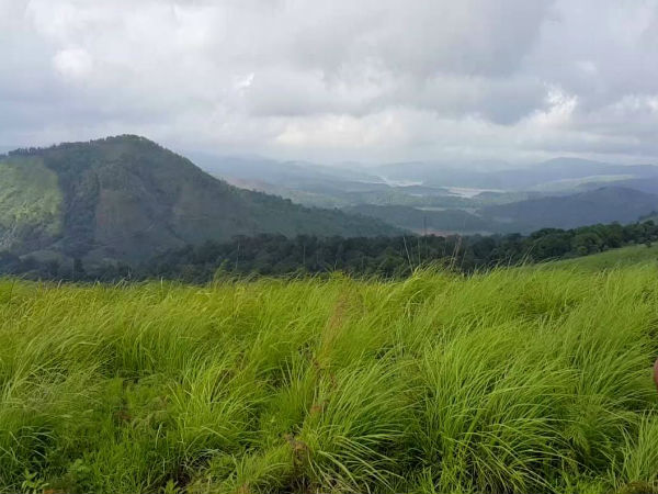7 Unknown Offbeat destinations in Idukki - Uluppuni