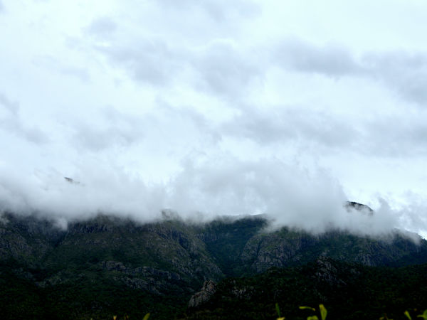 10 One day destinations from Bangalore - Masinagudi