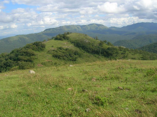 10 One day destinations from Bangalore - BR Hills