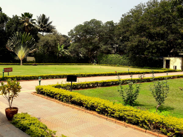 Beautiful Lawns