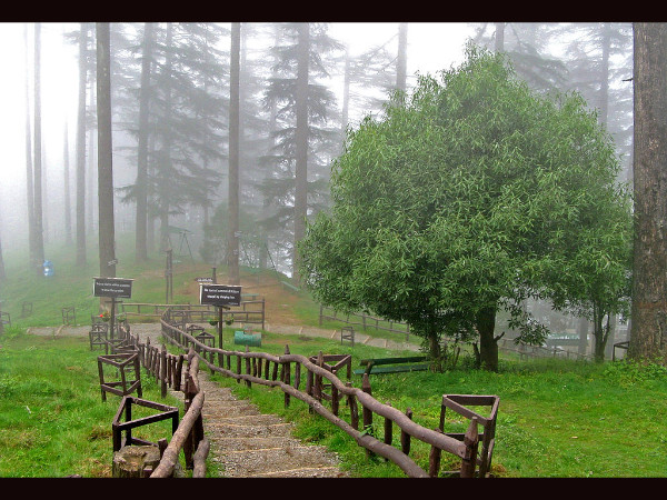 Tourist Places Near Mussoorie