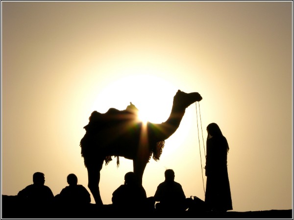 Best Places to Visit in Rajasthan in December Best Places to Visit in Rajasthan in December