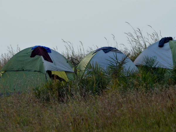 Tents Tents