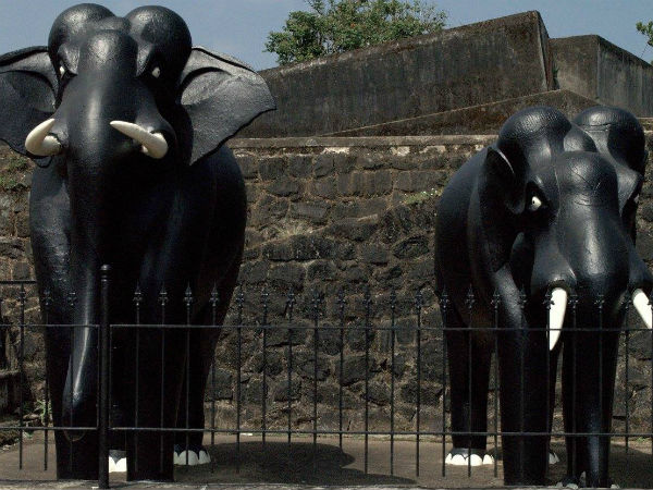 Elephants Elephants