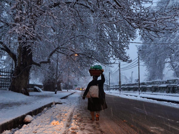 Srinagar Witnessed the Coldest Night! Srinagar Witnessed the Coldest Night!