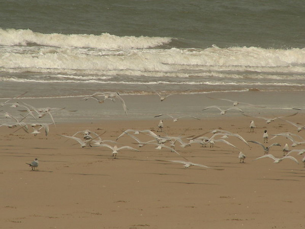 Kashid Beach – Maharashtra