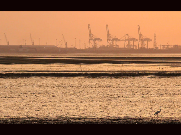 Dumas Beach – Gujarat