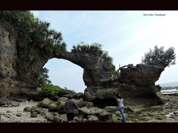 Neil Island – Andaman