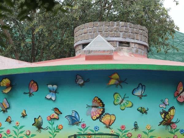 Butterfly Park at Ramoji