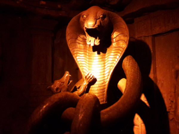 Interiors of Kripalu Caves