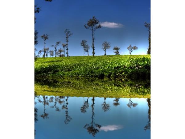 Coorg
