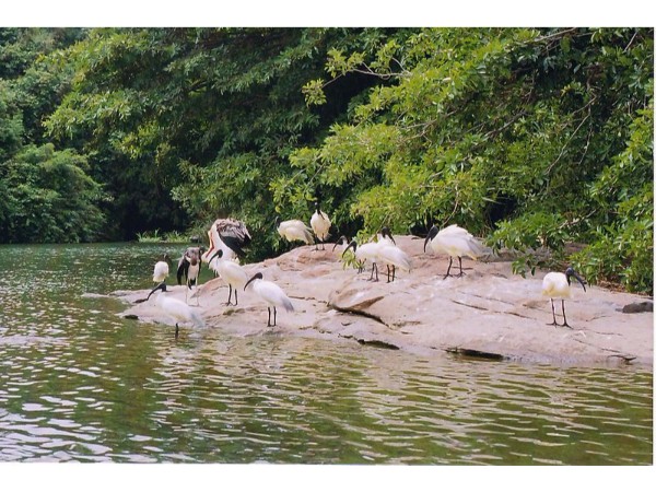 Ranganathittu