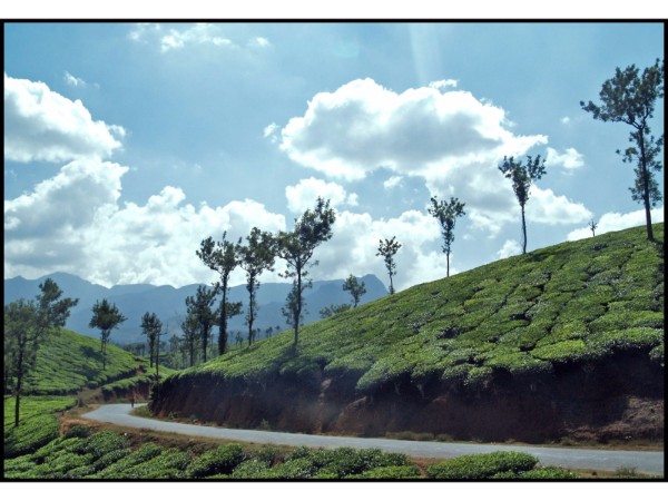 Wayanad via Bandipur