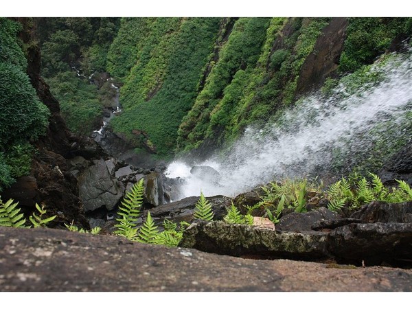 Agumbe
