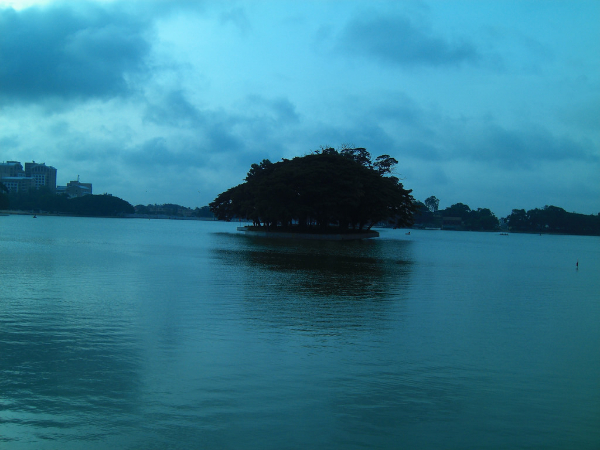 The Blue Hued Skies