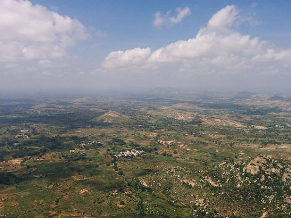 Horsley Hills