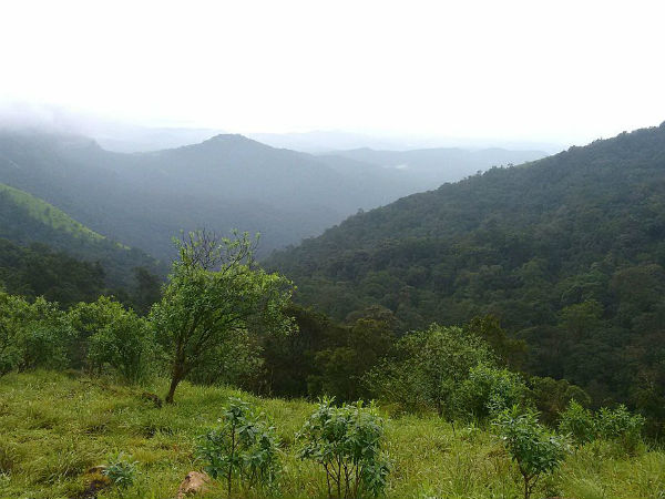 Kodachadri