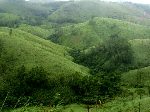 Vagamon