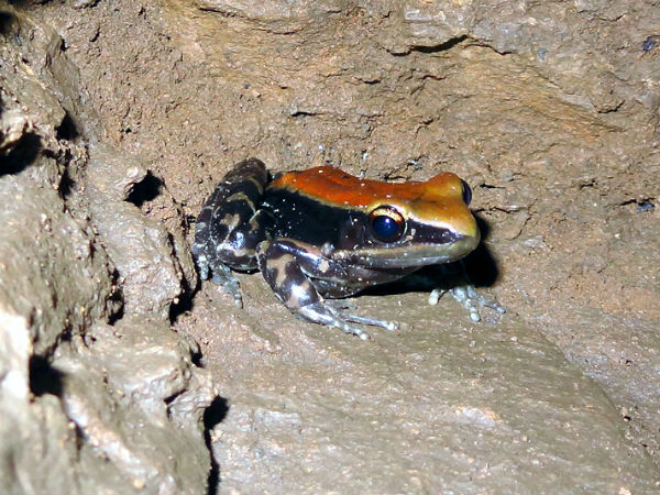 Kutumsar Cave Kutumsar Cave