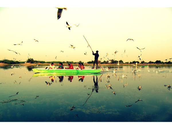 Nal Sarovar