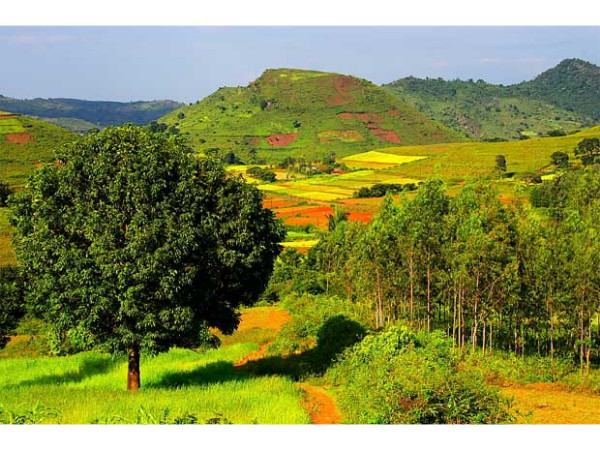 Araku Valley