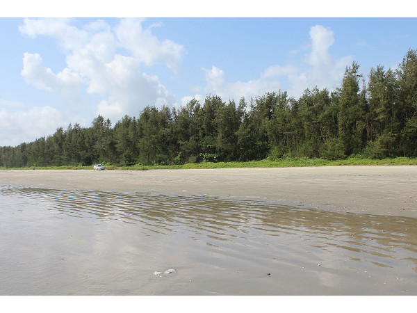 Muzhappilangad Beach
