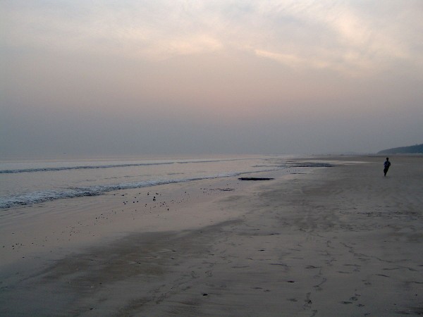 Shankarpur Beach
