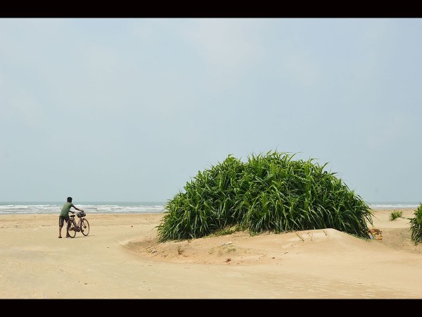 Tajpur Beach
