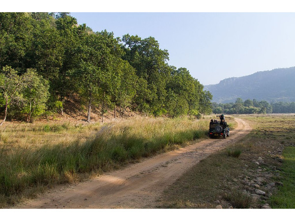 Bandhavagadh National Park