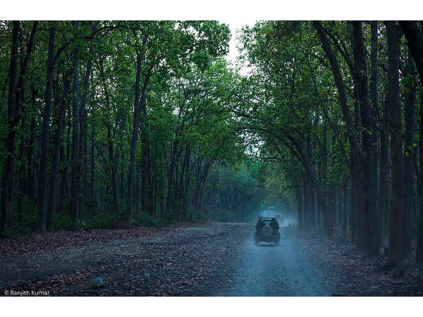 Jim Corbett National Park