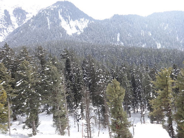 Pahalgam