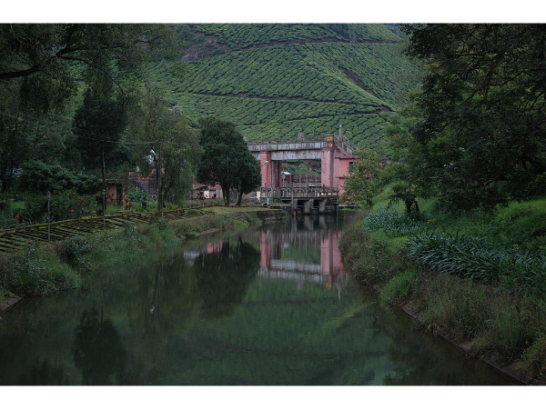 Mattupetty Dam