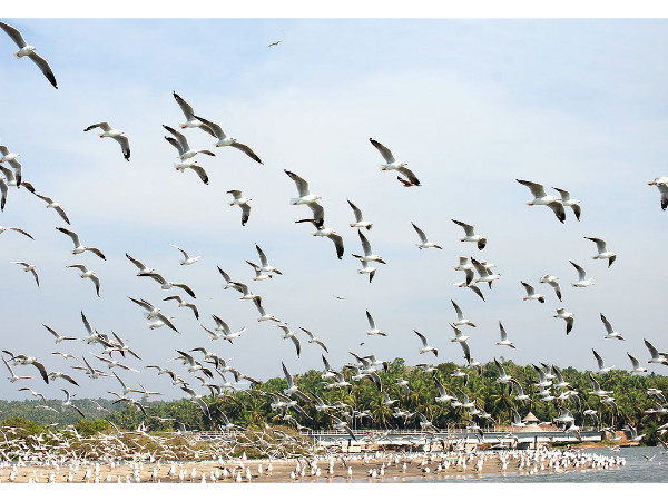 Location of Kadalundi Bird Sanctuary