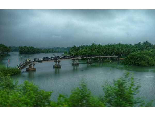 How to Reach the Kadalundi Bird Sanctuary