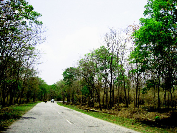 Best Time to Visit Bandipur