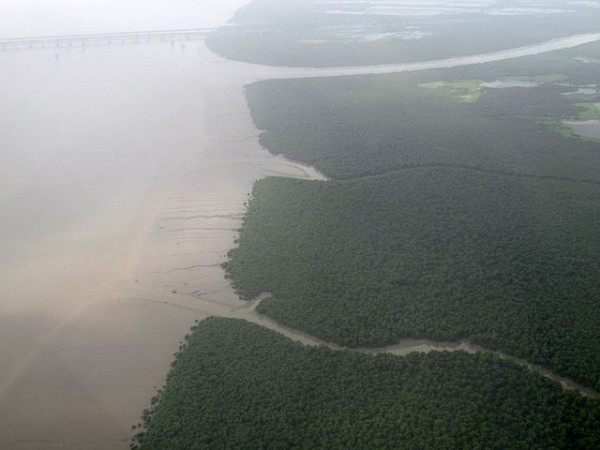 Thane Creek