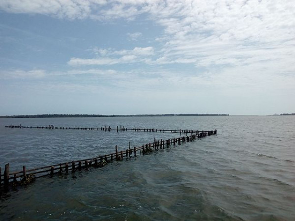 Kayamkulam Estuary
