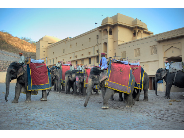 Facts About Amber Fort Facts About Amber Fort