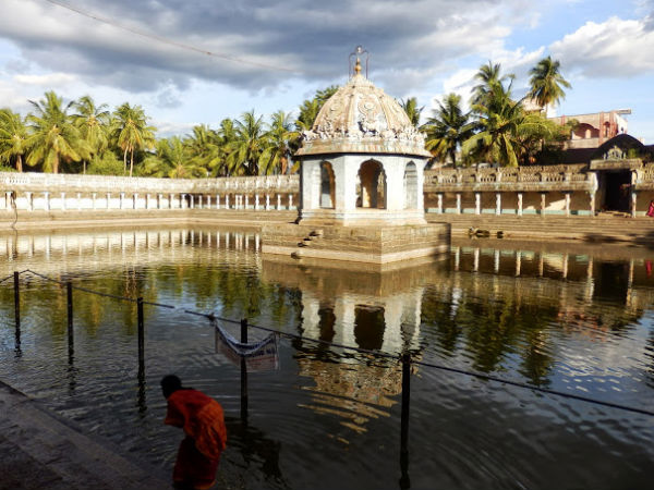Temple Pond Temple Pond