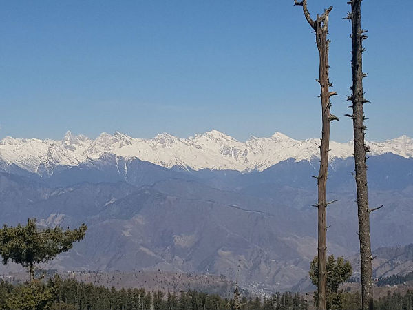 Chanshal
