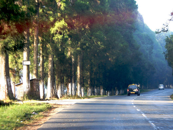 6. Shillong To Cherrapunji