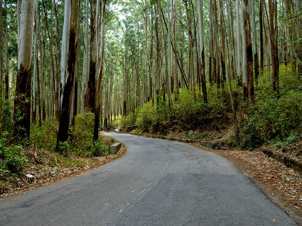 11. Bangalore – Coonoor