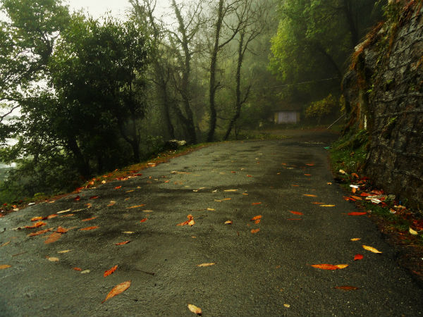 14. Dehradun – Nainital