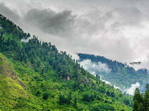 11. Kasol