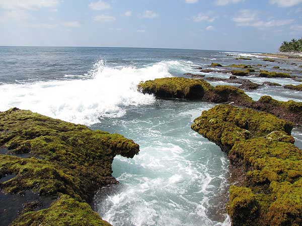 9. Coral Reef, Lakshadweep – The Only Coral Reef In India