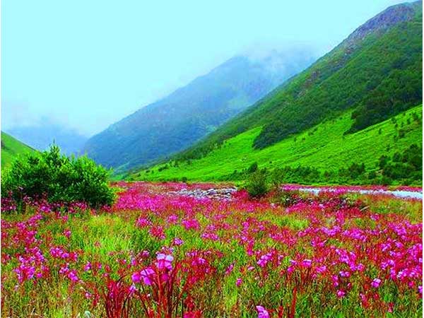 11. Valley of Flowers, Uttarakhand – Strictly For Trekkers