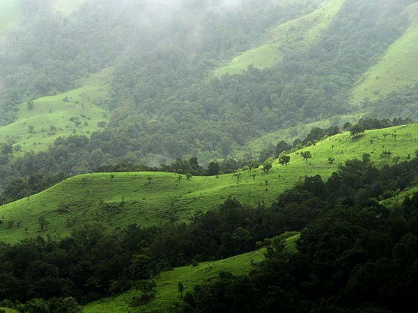 7. The Western Ghats – Man Vs Nature
