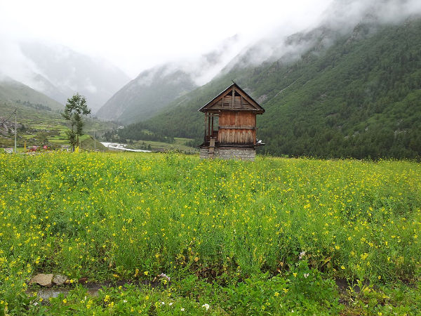Manali – Kaza – Reckong Peo – Chitkul – Shimla