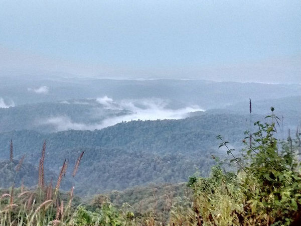 dandeli wildlife sanctuary dandeli wildlife sanctuary