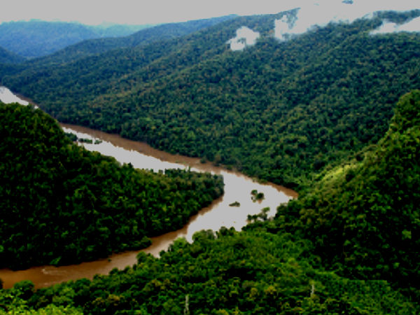 dandeli wildlife sanctuary dandeli wildlife sanctuary